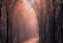 开云体育中国-德国男篮横扫立陶宛男篮，艾顿绝境逆转