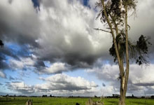 开云体育在线-TES强势MAD，Peanut惊艳世界