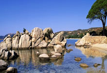 开云体育-凯尔特人B队力克波兰男篮，丹尼·格林高光表现引爆篮球激情