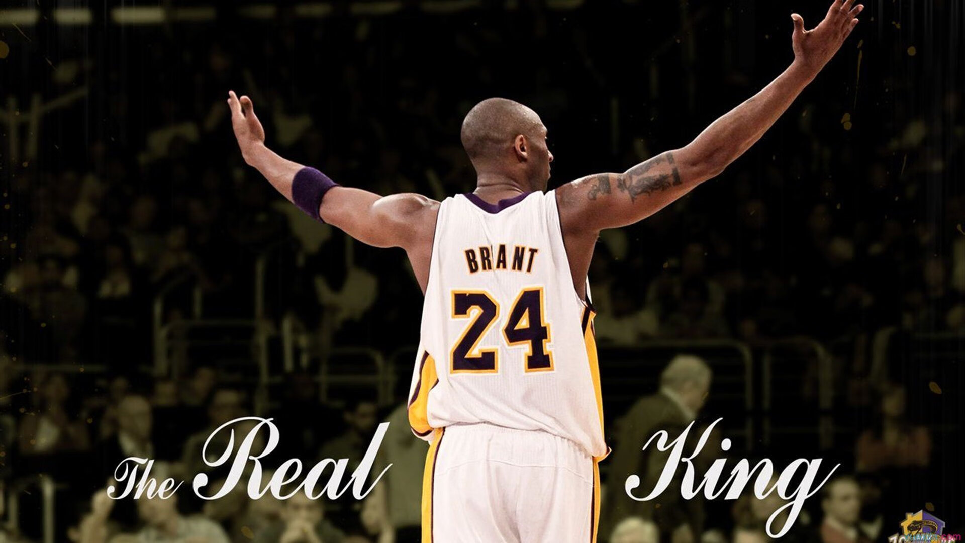 南美风暴席卷西亚，迪马利亚的利刃如何刺穿伊拉克防线